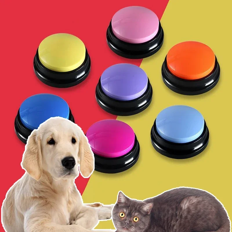 2026 Recordable Talking Pet Bu - Event Party Box avaliação e preço