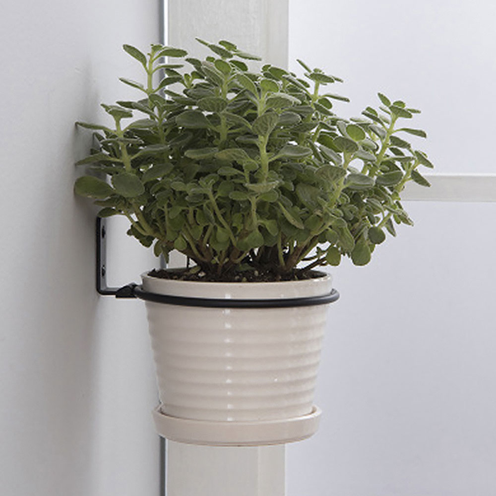 Flower Pot Trays Wall Mounted  - Flower Wall Panel avaliação e preço